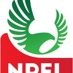 Nigerian Professional Football 1