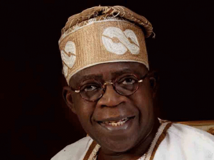 You are currently viewing Diaspora group endorses Tinubu for President