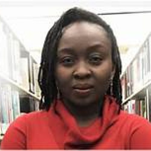 #EndSARS, and a Government’s Perennial Failure, By Abimbola Adelakun