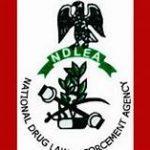 ndlea