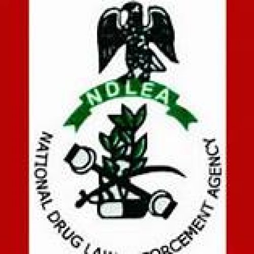 NDLEA: One Out of Every Four Drug Users in Nigeria is Female
