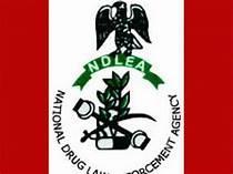You are currently viewing NDLEA: One Out of Every Four Drug Users in Nigeria is Female