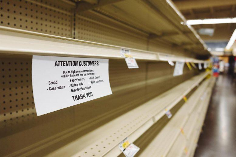 You are currently viewing Worried About Empty Store Shelves? Here Are the 5 Commodities That Will Be Hardest To Find