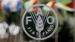 Read more about the article Food crisis to hit 16.9 million Nigerians in 2022 — FAO