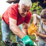 grandparent in garden iStock 971388782