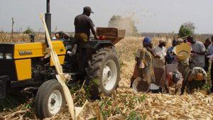 Read more about the article Over N77 billion loans, bad governance kill agric bank