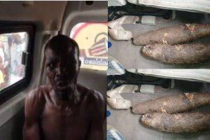 Read more about the article Man apprehended for allegedly ‘turning children into tubers of yam’ in Ibadan