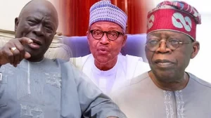 Read more about the article Adebanjo asks EFCC to probe Tinubu, Akande’s sources of wealth