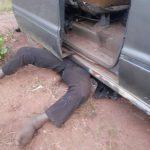 D49666D4 8984 482D A083 C87049DC98DA