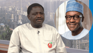 Read more about the article How Buhari trekked from South-East to Cameroon border for Nigeria – Adesina