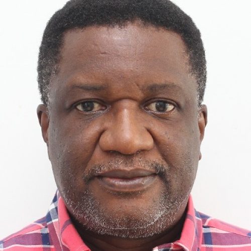 Change and permanence at play in Ukraine, by Wole Akinyosoye
