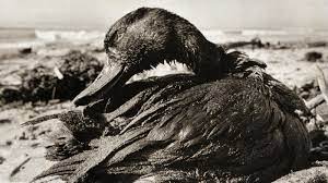 Read more about the article The untold story of the Aiteo Santa Barbara Oil Spill