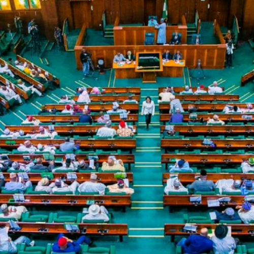 House of Reps rescinds decision on three gender-related bills after protest