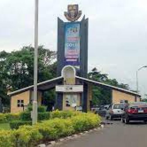 OAU VC: Our son was schemed out, say Ile-Ife indigenes