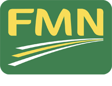 You are currently viewing Flour Mills loses N4b in market value as share price falls to N31