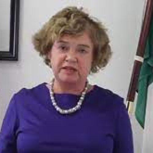 Nigeria lacks enough female role models in top positions, says UK High Commissioner
