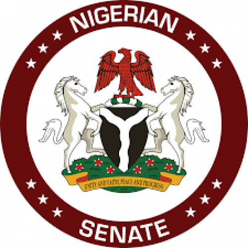 Senate sets up committee to review 1999 constitution
