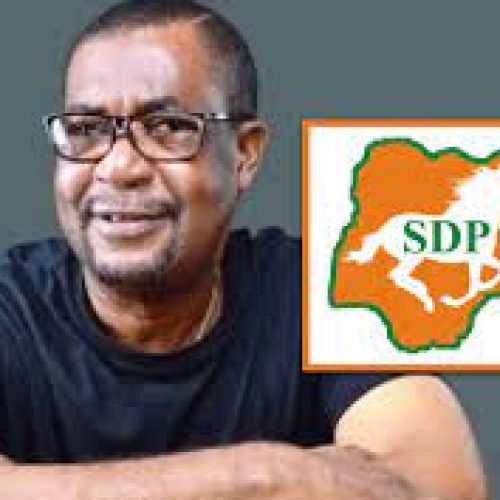 SDP suspends national chairman over ‘anti-party activities’