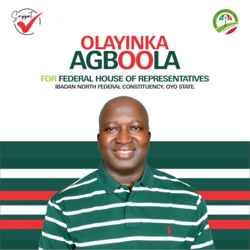 Yinka Agboola eyes House of Reps, urges parties to subject aspirants to integrity tests