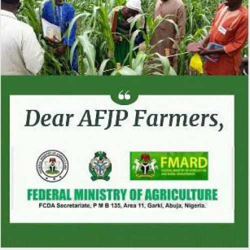30,000 youths employed under AFJP programme chaired by Osinbajo lament unpaid allowances
