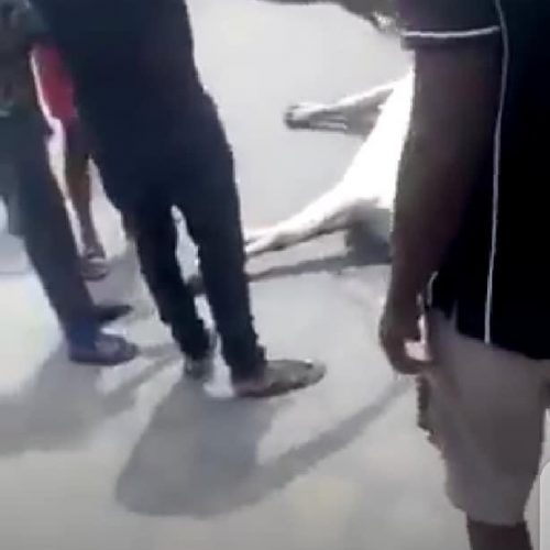 Herdsmen Lynch Man after a Bus Killed Their Cows in Lagos