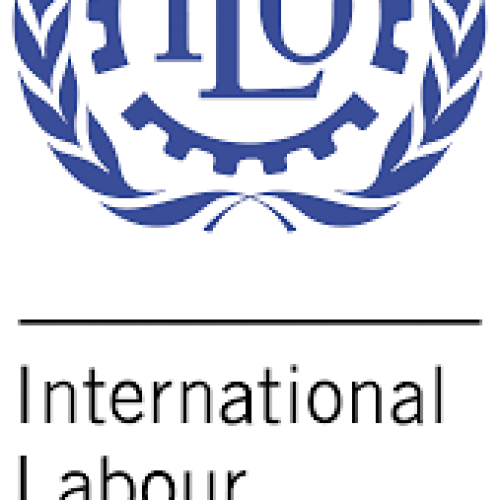 Migrants are increasing within Nigerian borders – ILO