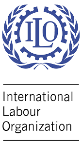 Read more about the article Migrants are increasing within Nigerian borders – ILO