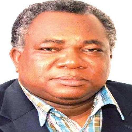 Tinubu didn’t beg anyone for endorsement, he insisted on primary – Ogala