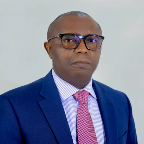AfDB appoints Ifechukwude Ezinwa as acting HR boss