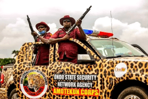 Read more about the article Owo massacre: We’re determined to dislodge criminals hiding in our forest reserves — Amotekun
