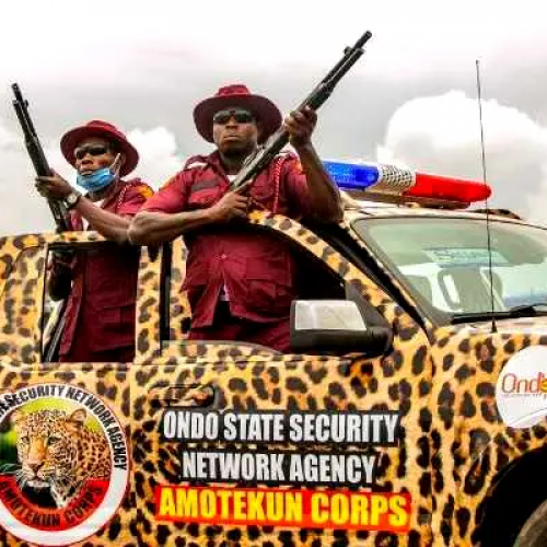 Owo massacre: We’re determined to dislodge criminals hiding in our forest reserves — Amotekun