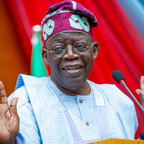 Afenifere mobilises support for Tinubu