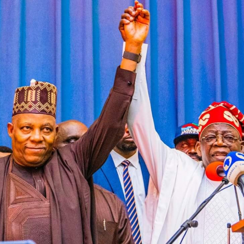 South West professionals plan summit to support Tinubu-Shettima￼￼