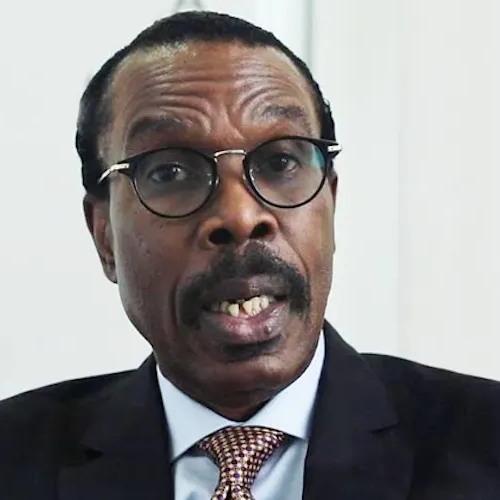 Rewane: 2023 may be Nigeria’s costliest elections ever in history