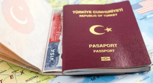 Read more about the article Turkey removes Nigeria from the list of e-Visa countries