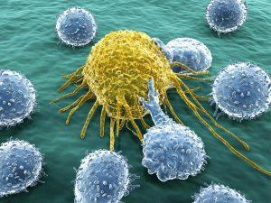 Read more about the article The Surprising Relationship Between Cancer and Diabetes 