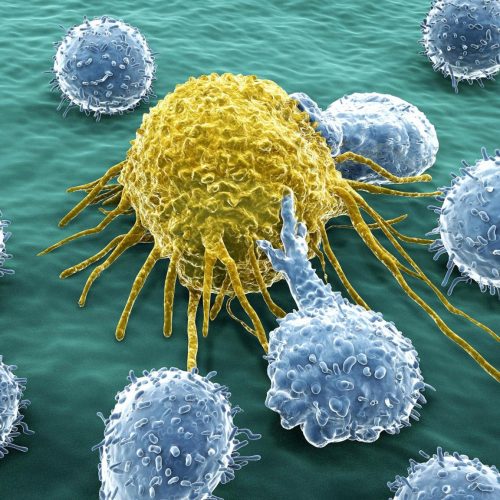 The Surprising Relationship Between Cancer and Diabetes 
