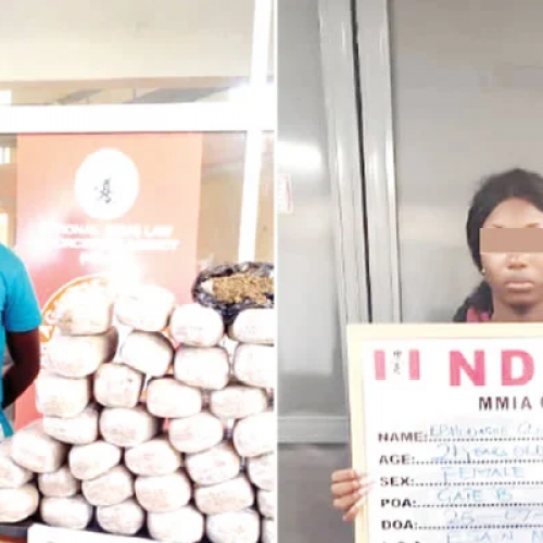 N1.33bn drugs intercepted at Lagos seaport, suspects arrested
