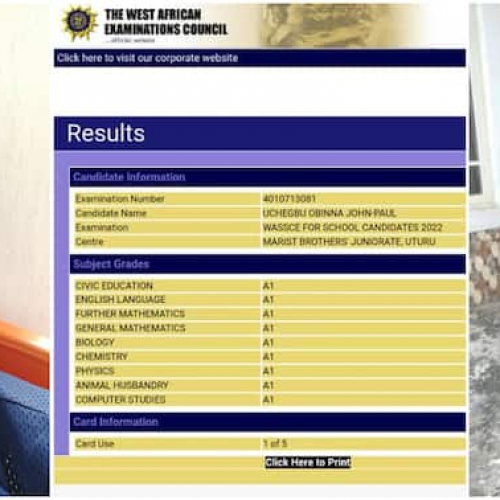 Uchegbu Obinna John-Paul: The 16-year-old wonderkid who scored nine A’s in WAEC and 331 in Jamb exam