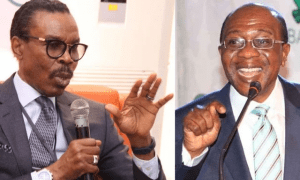 Read more about the article It’s primitive economics to run after bank customers changing naira to dollar, Rewane  tells CBN Governor
