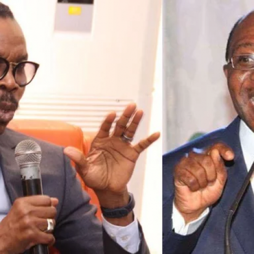 It’s primitive economics to run after bank customers changing naira to dollar, Rewane  tells CBN Governor
