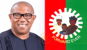 Read more about the article I can bet $10k Peter Obi will come a distant third, Deji Adeyanju drags Obidients
