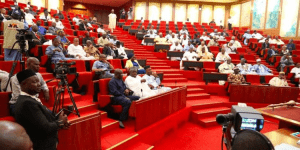 Read more about the article Termites ate vouchers of our N17.1bn spending, NSITF tells Senate