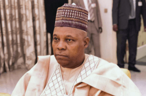 Read more about the article Shettima: We’ll be equitable, just, inclusive if elected
