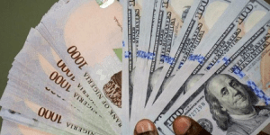 Read more about the article One year after CBN’s clampdown on AbokiFX, Naira depreciates by 25%