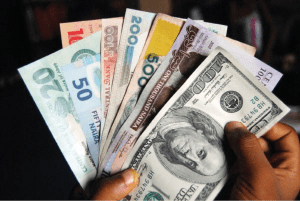 Read more about the article Economists forecast naira slide, inflation as political campaigns begin