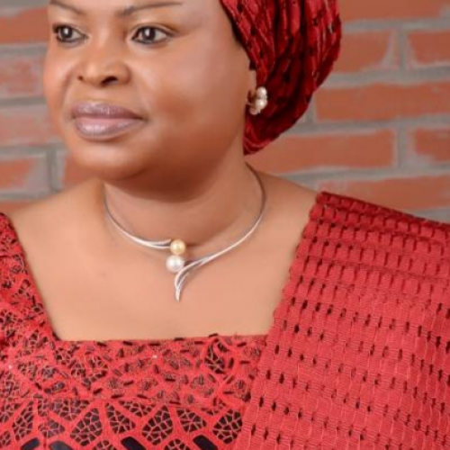 Orelope-Adefulire : Footprints of Nigeria’s SDGs’ champion at 63