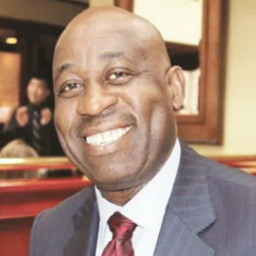 Tinubu made his money by trading in stocks — Dele Alake