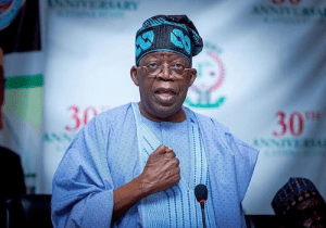 Read more about the article APC NWC, governors, PCC members unite for Tinubu
