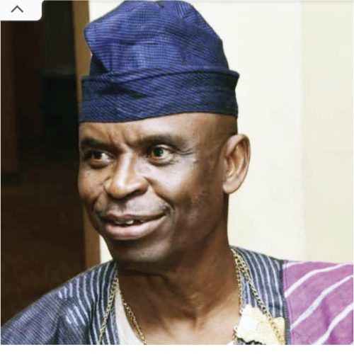 Chief Abiodun Odusanwo: Providing strategic leadership for tourism professionals in Nigeria